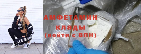 твердый Абаза