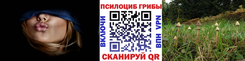 Галлюциногенные грибы ЛСД  hydra маркетплейс  Элиста 